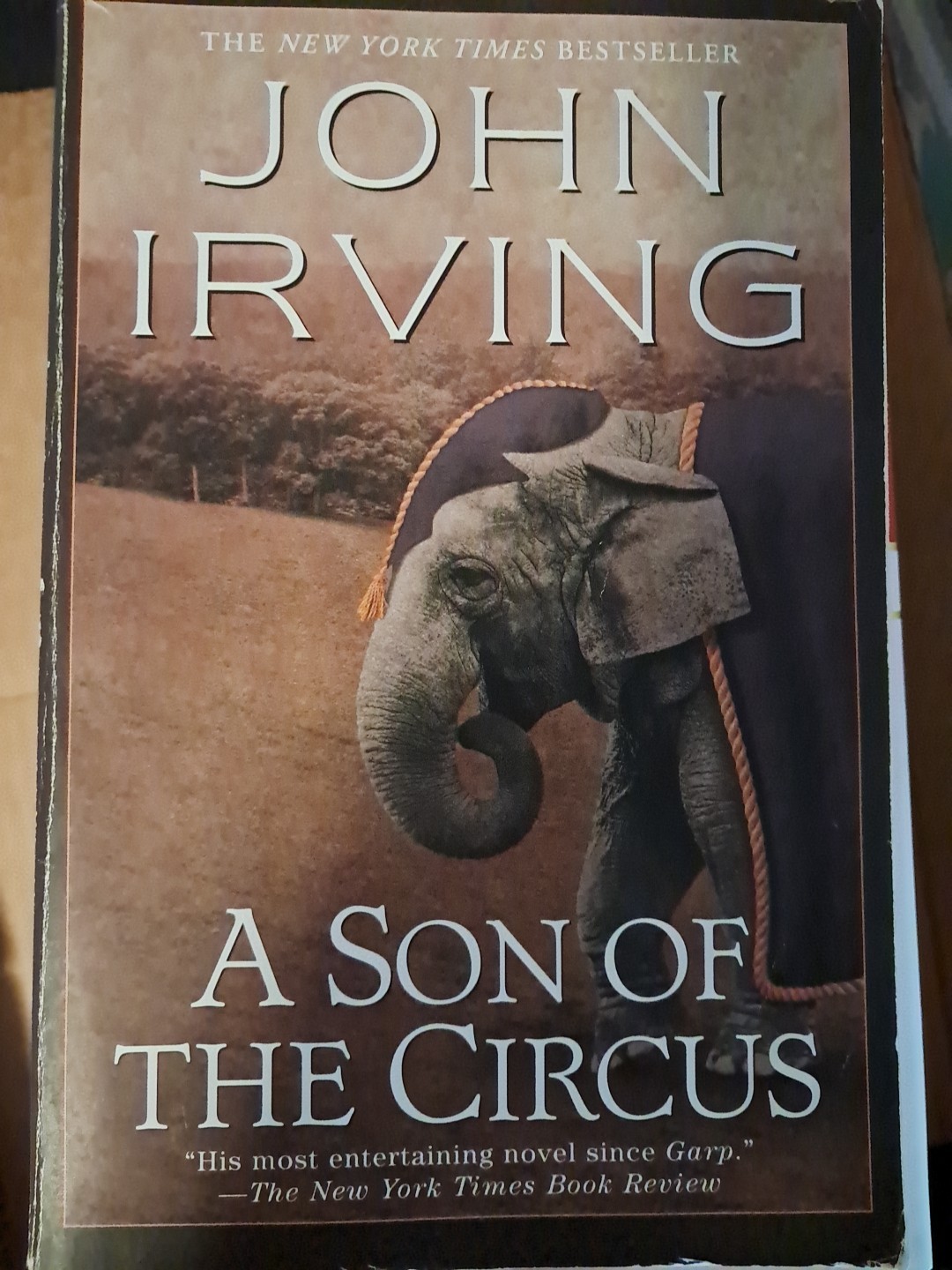 John Irving Lot Of 5 Books: 3 HB 1st Edition, 2 PB