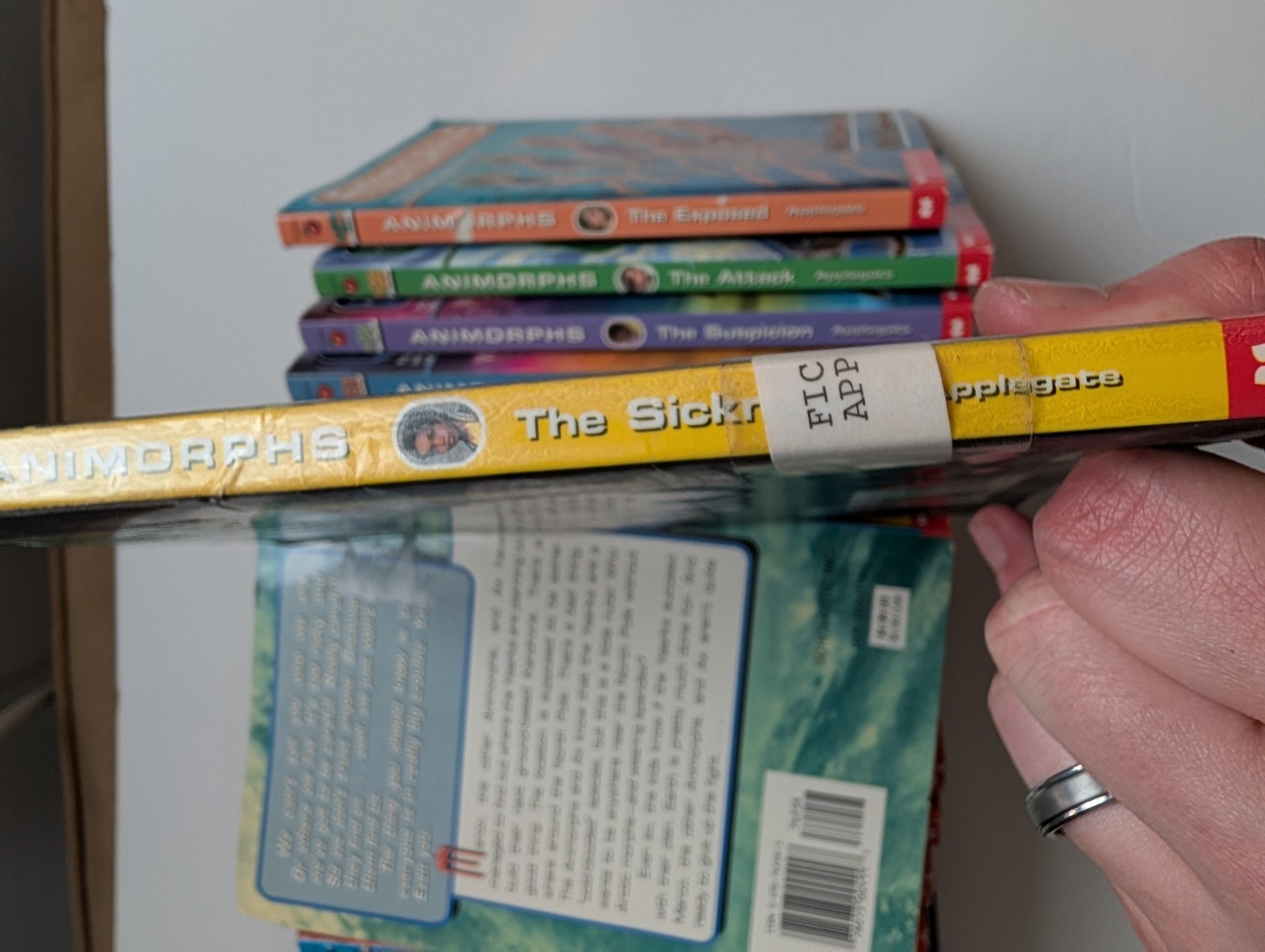 Lot of 24 Animorphs Scholastic Paperback Books K.A. Applegate