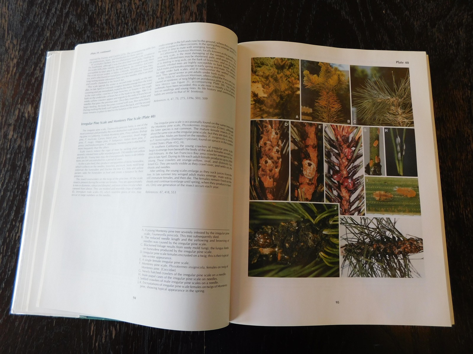 Vintage Insects That Feed on Trees and Shrubs Johnson Lyon Hardcover 1991