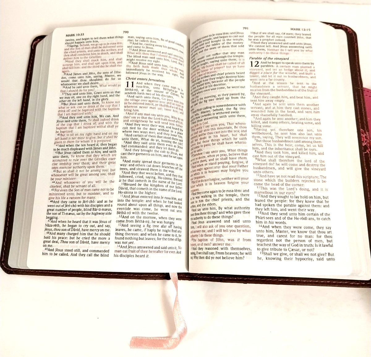 KJV Compact UltraThin Bible Brown/Pink Leather Touch Mag Flap 2012 Holman