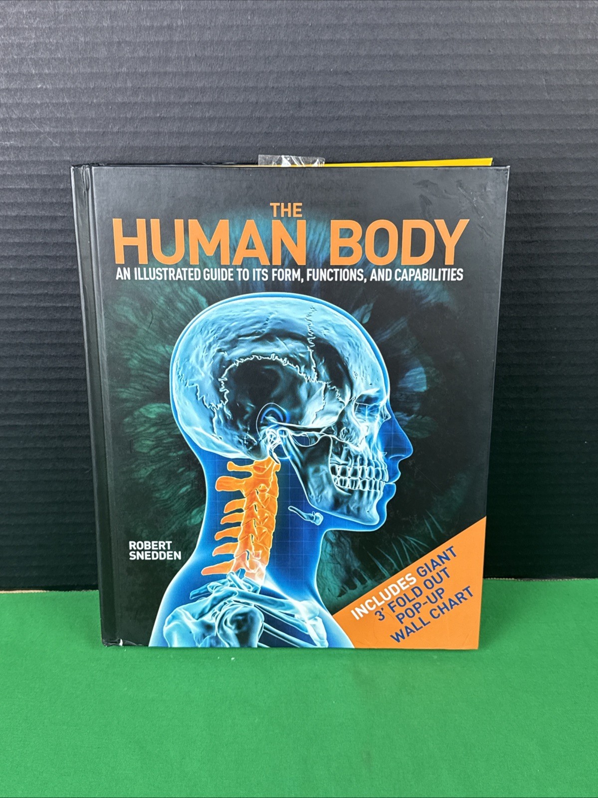 Robert Snedden The Human Body Hardcover