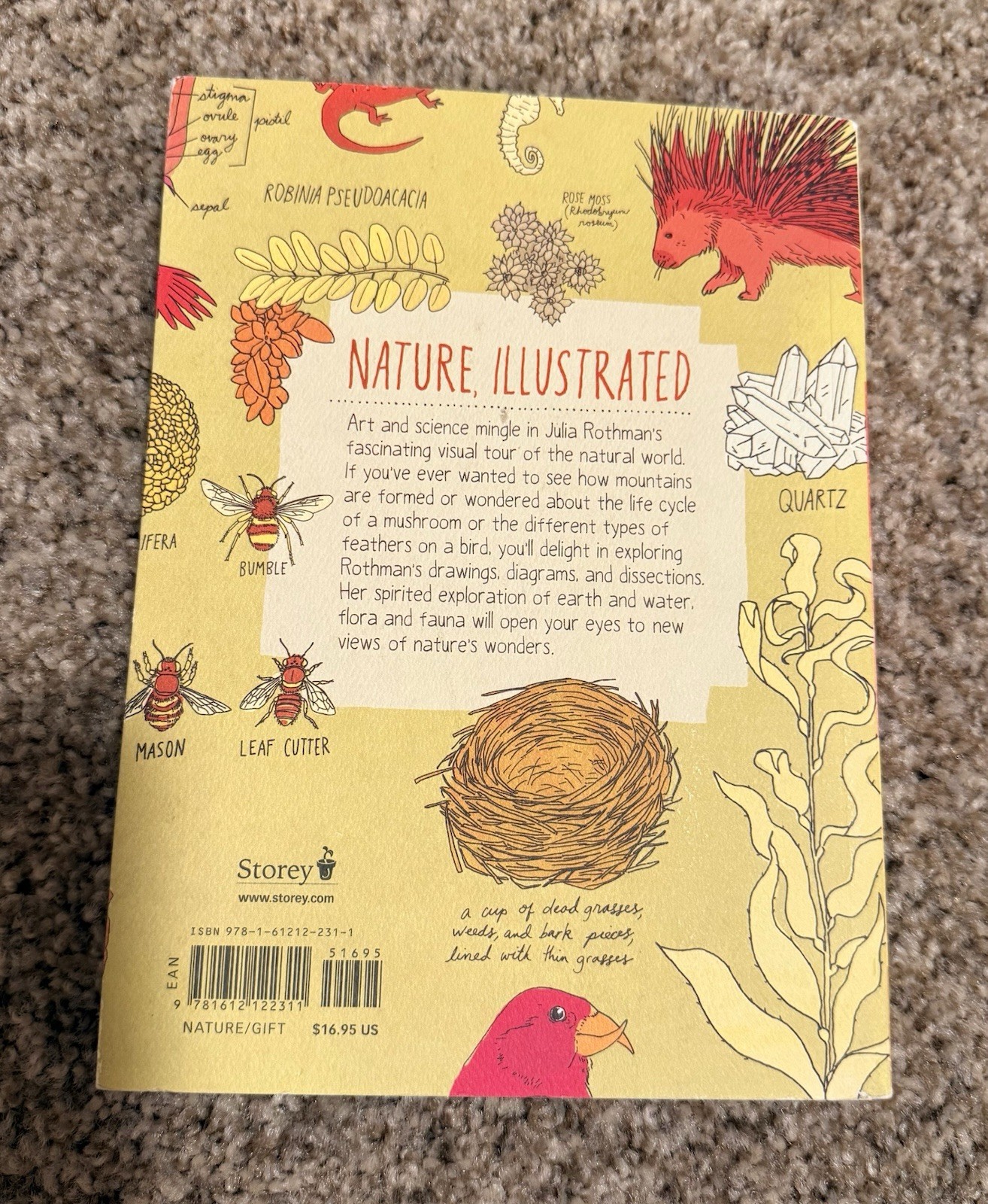Julia Rothman Nature Anatomy Illustrated Trade Paperback 2015