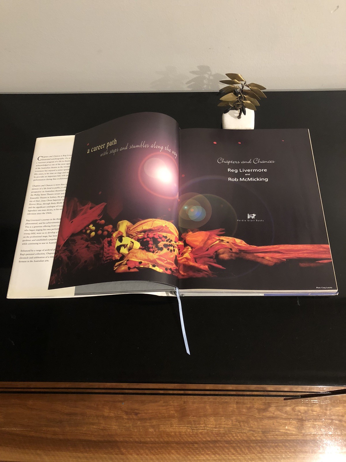 Reg Livermore Chapters And Chances H G B 2003 First Ed/F.Print HC DJ LN 🇦🇺🎭
