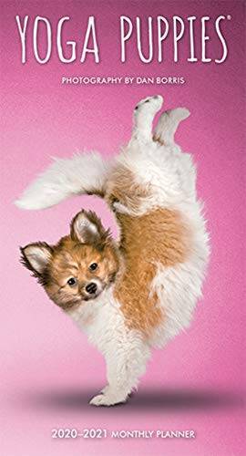 Yoga Puppies 2020 3.5 x 6.5 Inch Two Year Monthly Pocket Planner, An – VERY GOOD