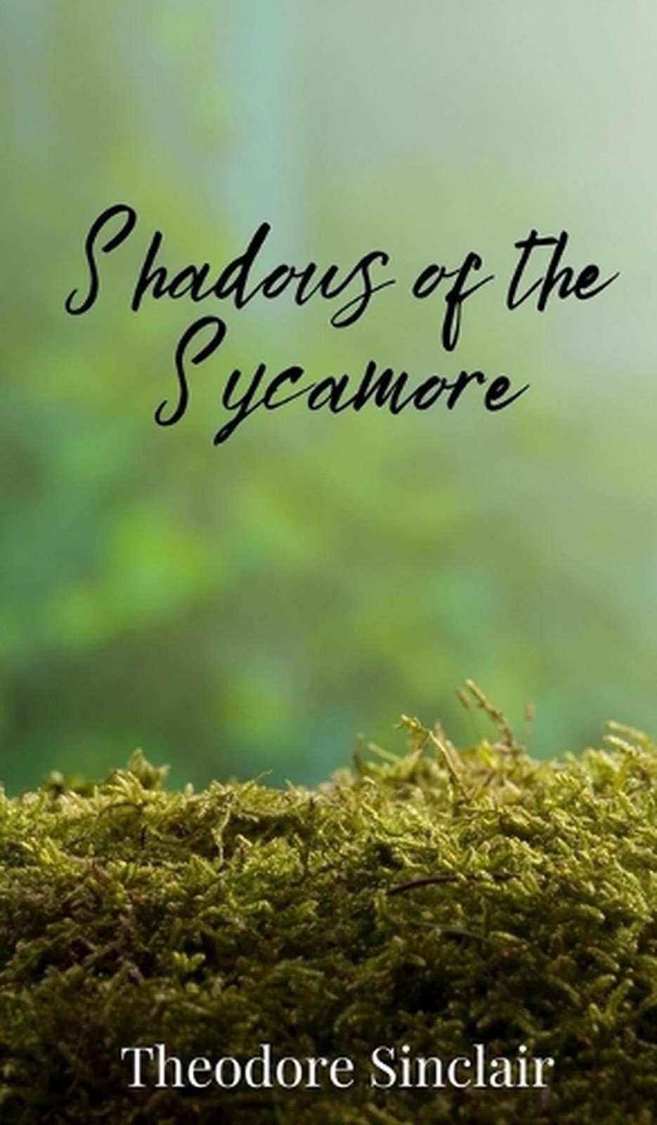 Shadows of the Sycamore by Theodore Sinclair Hardcover Book