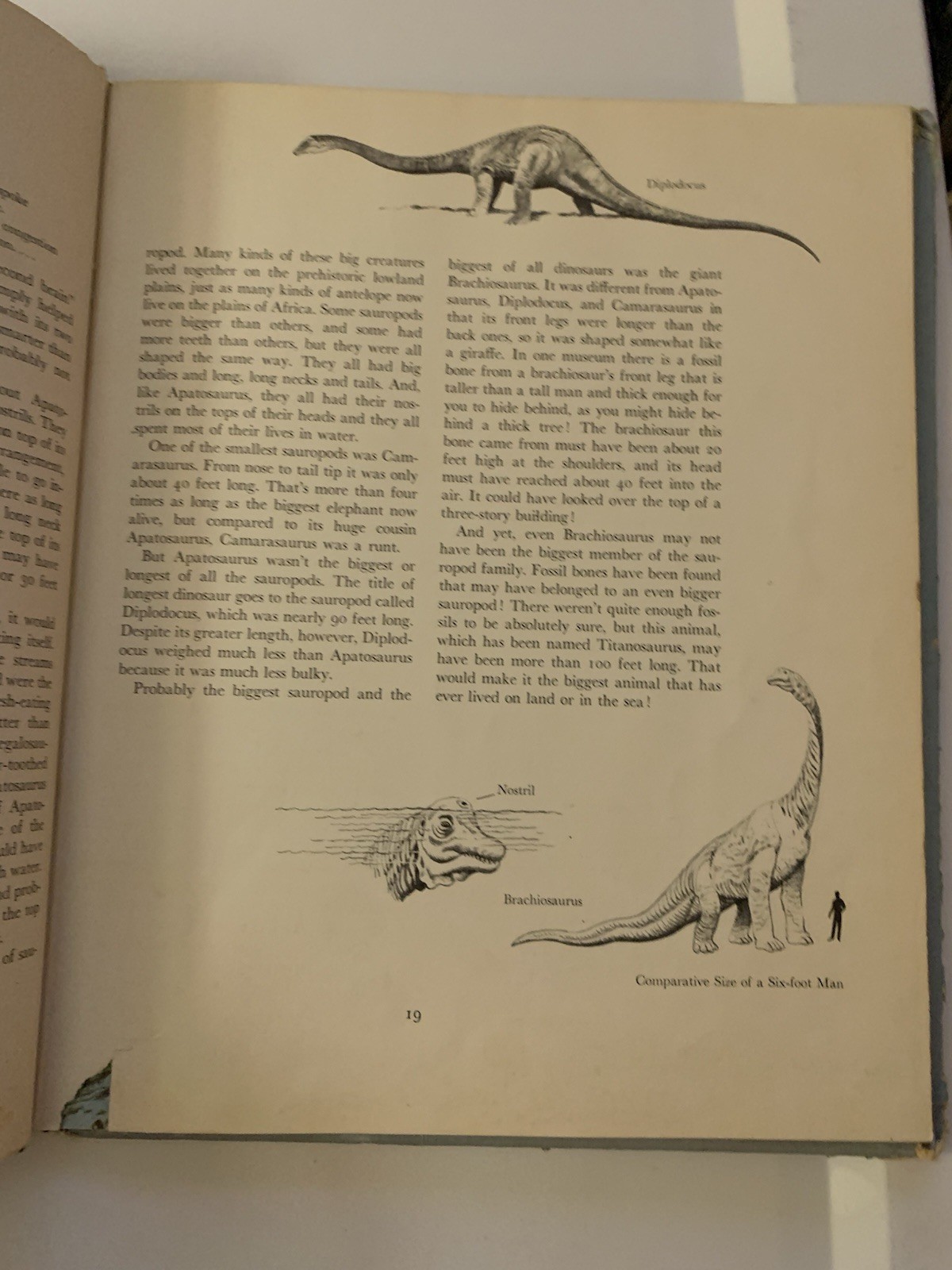 Album of Dinosaurs by Tom McGowen (1972, Hardcover)