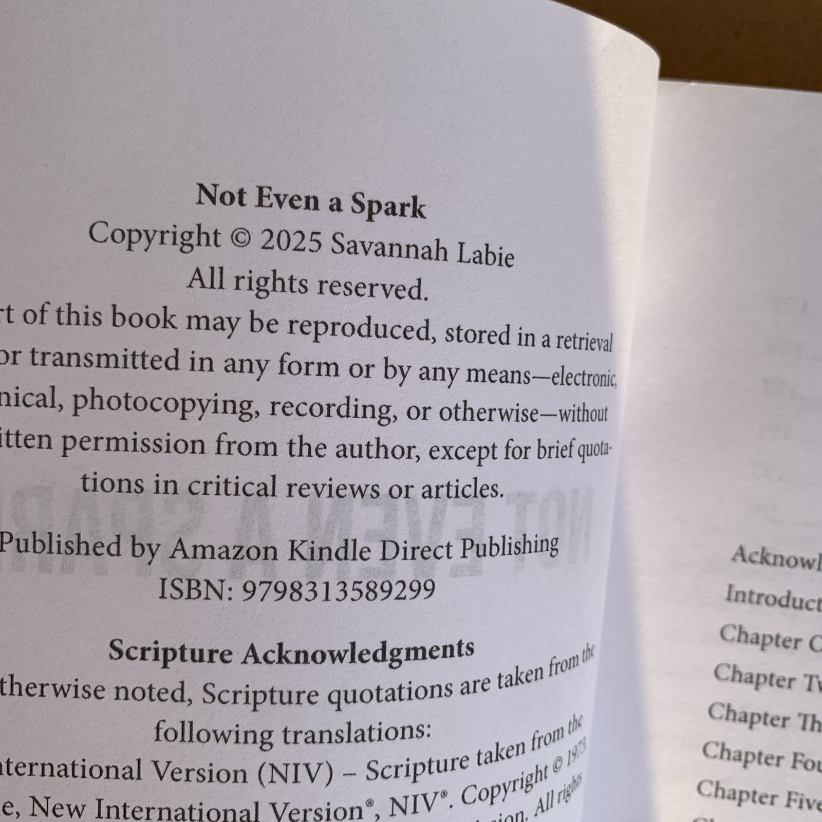 Not Even a Spark: a Family’S Journey through Cancer