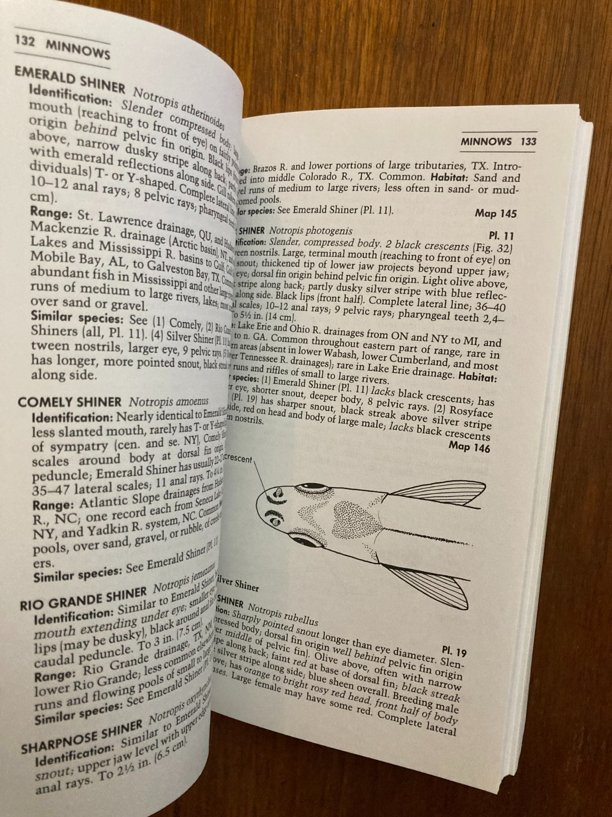 Peterson Field Guides Guide Freshwater Fishes Lawrence M. Page Brooks M. Burr 91