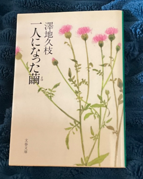 Hisae Sawachi “Mayu is Left Alone”?? PB Japanese Text VGC Bunshun Bunko