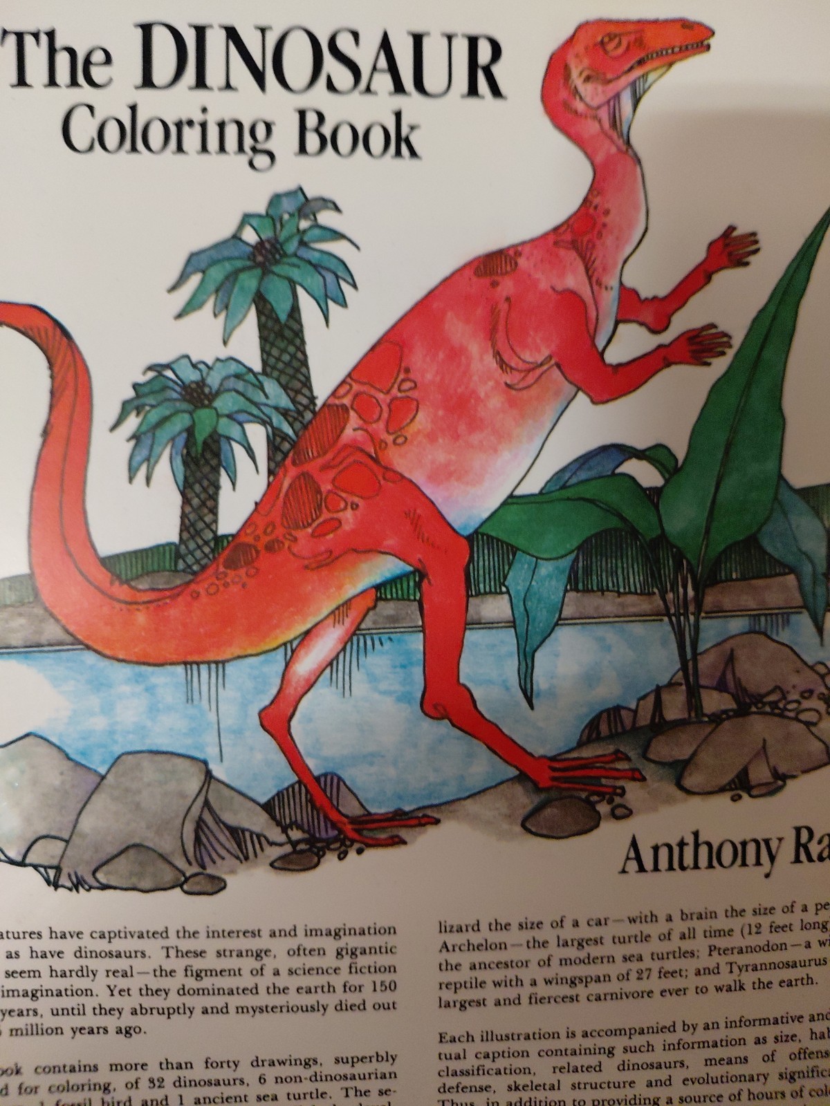 The dinosaur Coloring book Anthony Rao 1980 Vintage