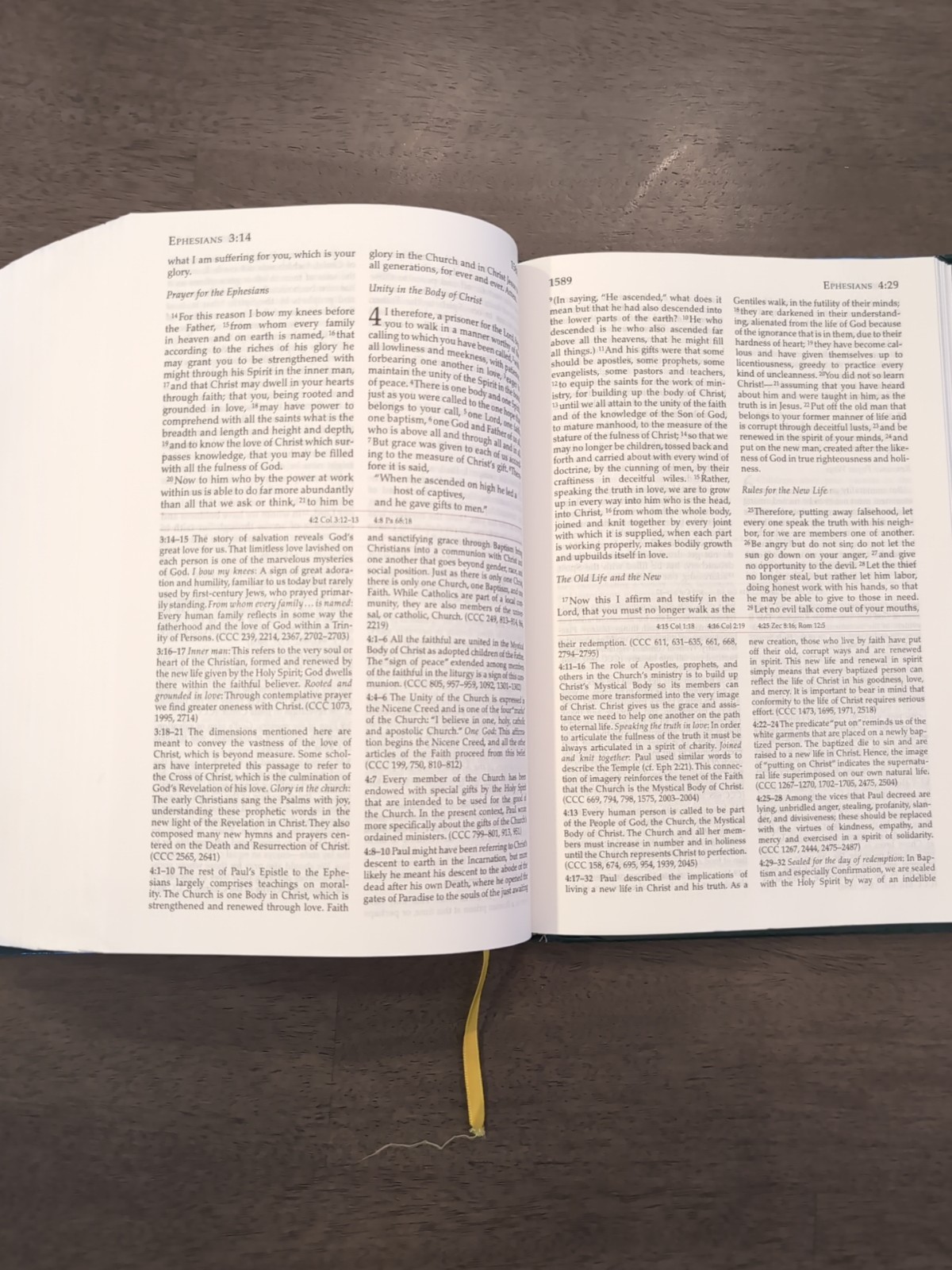 Didache Bible with Commentaries Based On the Catechism of the Catholic Church