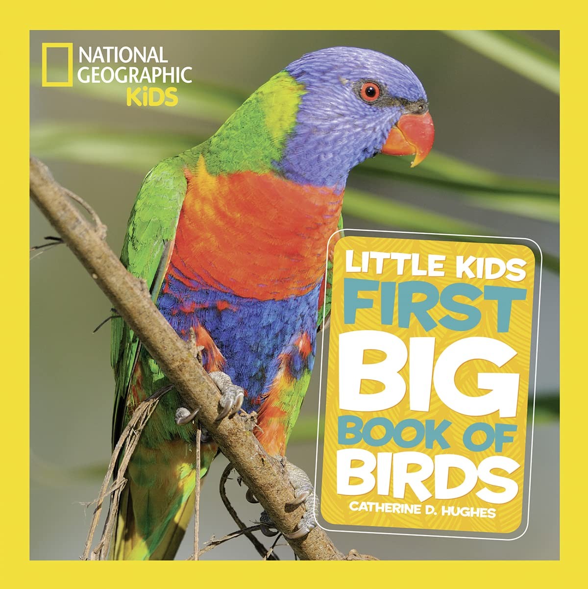 National Geographic Little Kids First Big Book of Birds – Hughes, Catherine …