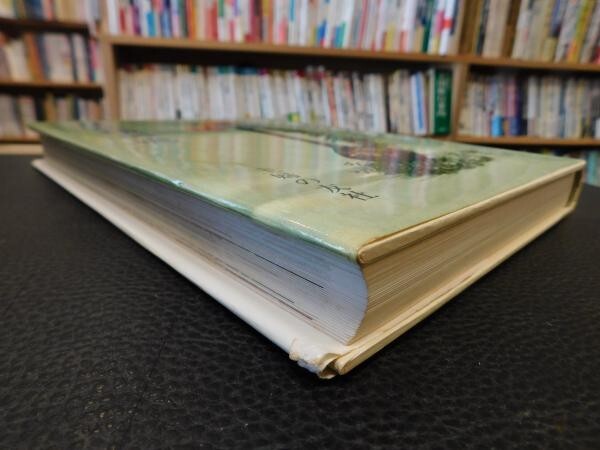 Teikan Saga Goryu book of Shufunotomosha 1977