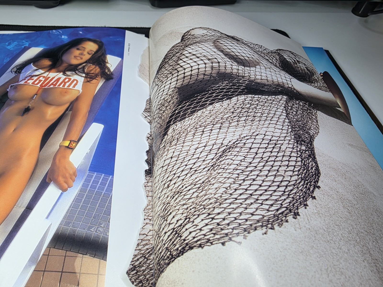 Playboy: the Celebrities by Hugh Hefner (2006, Hardcover) MISSING PAGES ⚠️