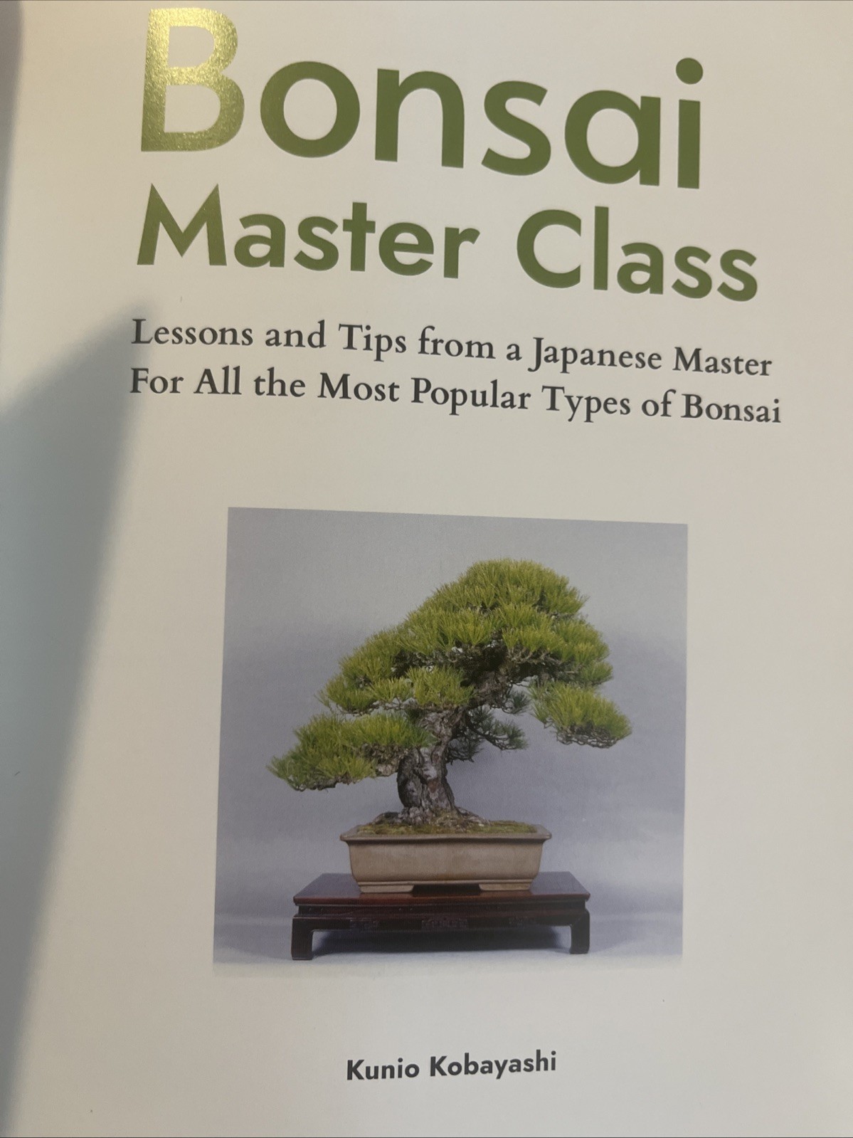 Bonsai Master Class: Lessons and Tips from a Japanese Master (with Over 600