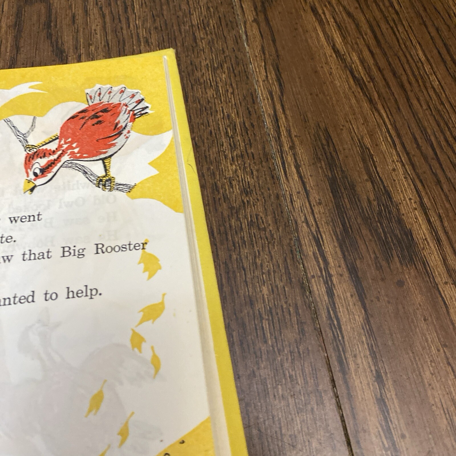 Surprise Egg By Sarah Demean Pictures Jack Boyd Hardcover 1962 Benefic Press