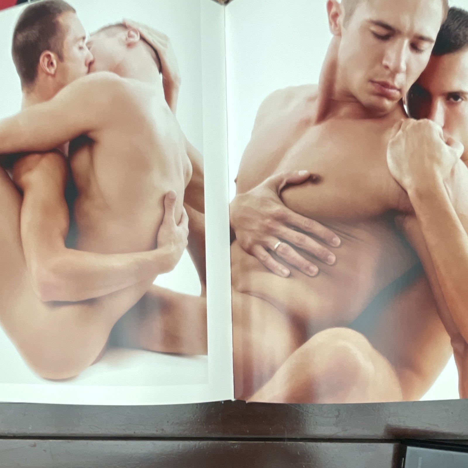 Dylan Rosser 2017 Hardcover Signed 1st Male Form Nudity Gay Interest Sexy