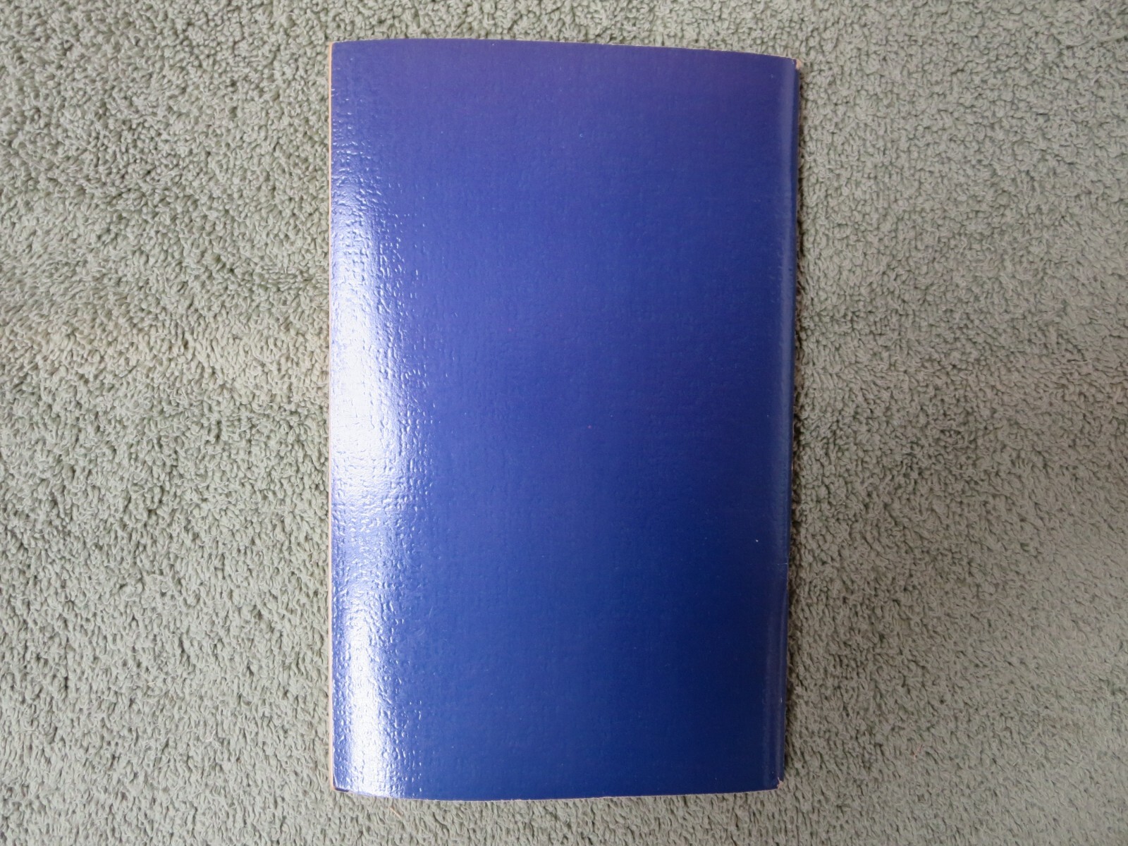 VINTAGE: 1971 Salt-Free Cookery Cookbook