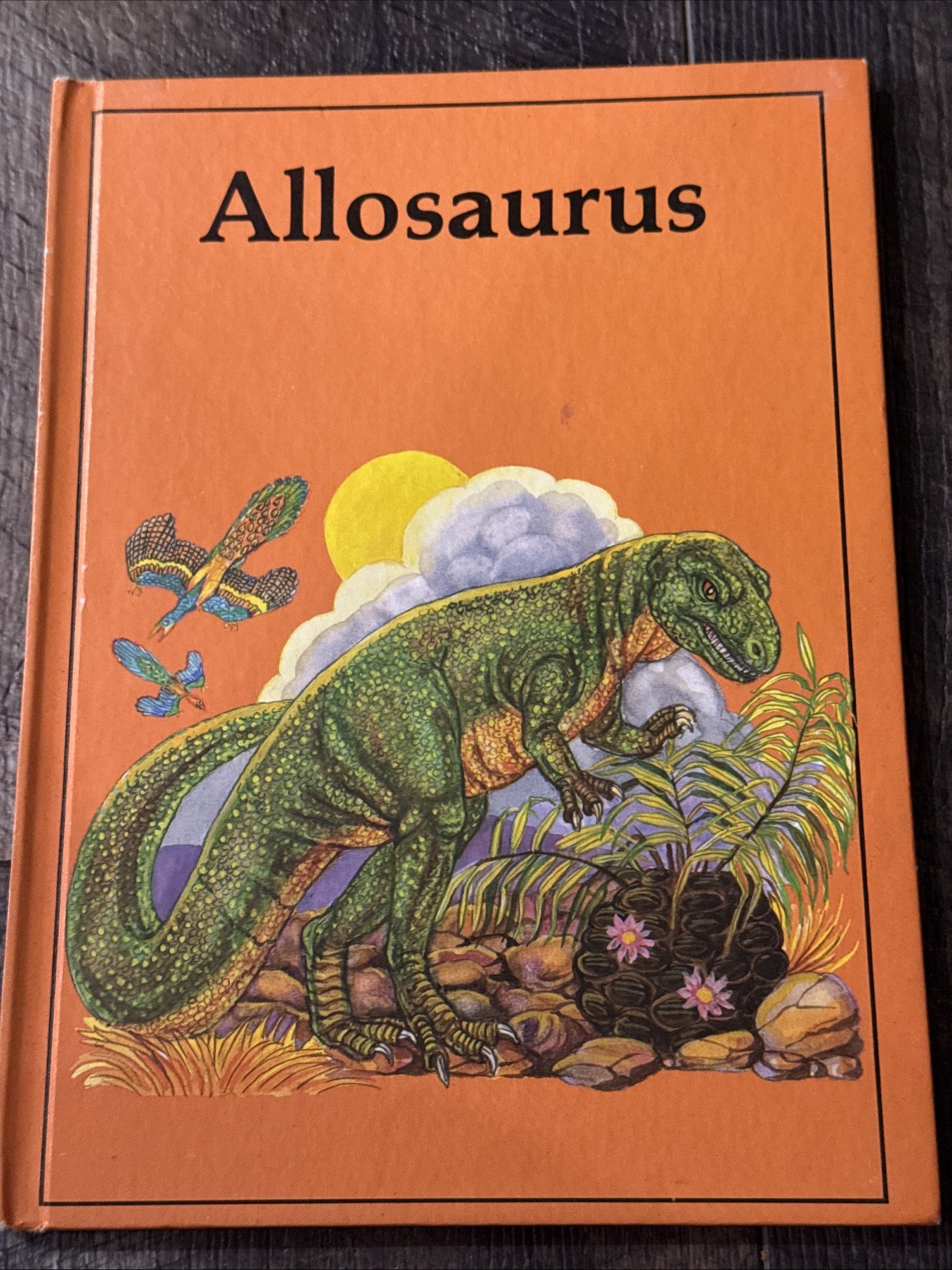 Vintage Rourke Dinosaur Library Hardcover Book Lot of 16 Kids Books Educational