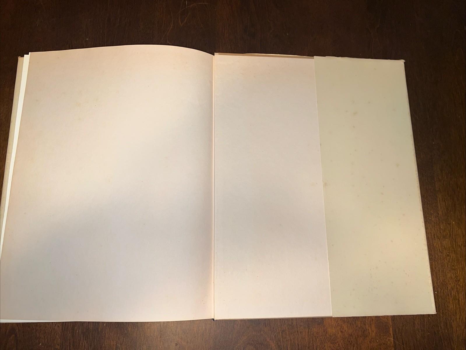Georgia O’Keeffe : A Portrait by Alfred Stieglitz 1st EDITION – Read Description