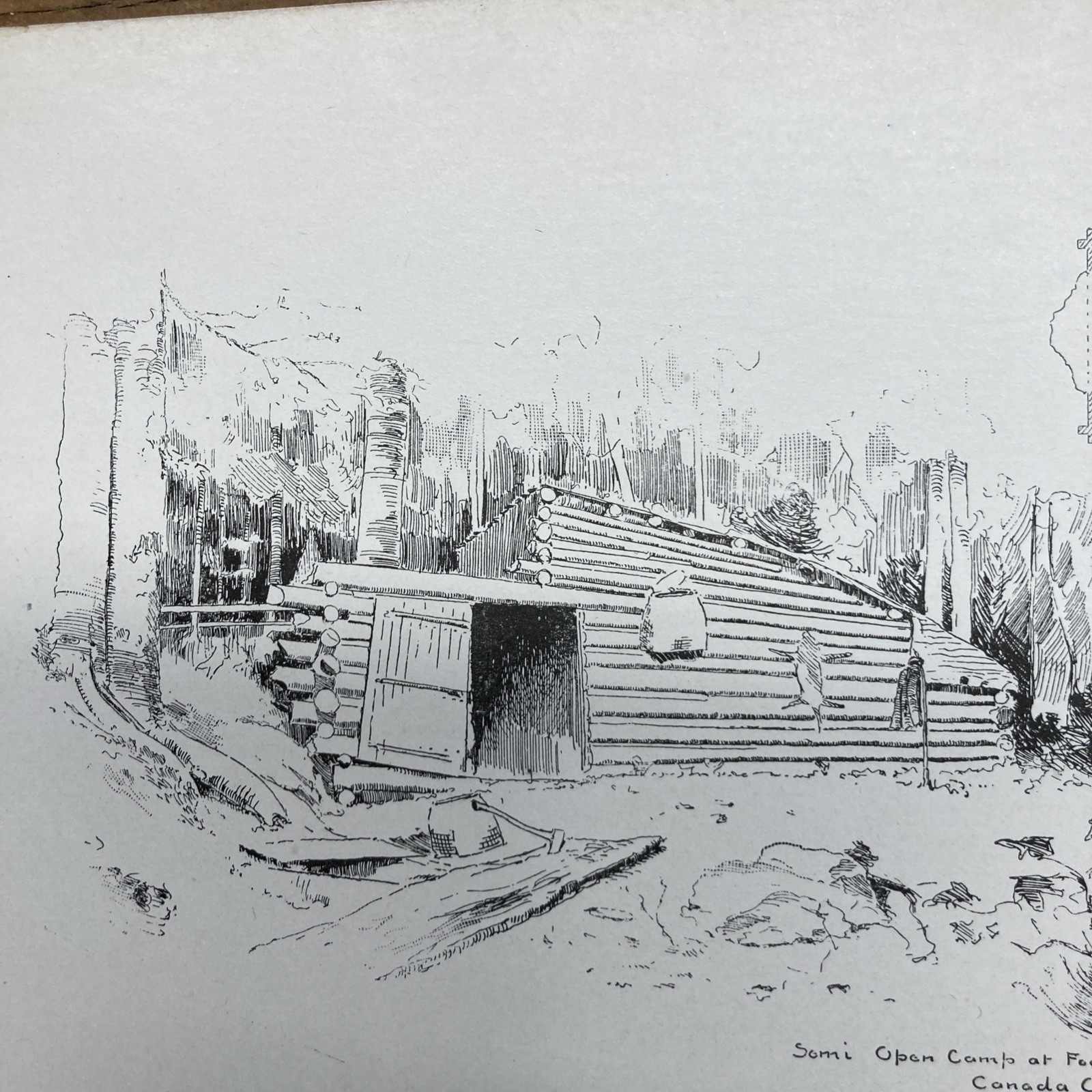 Log Cabins and cottages