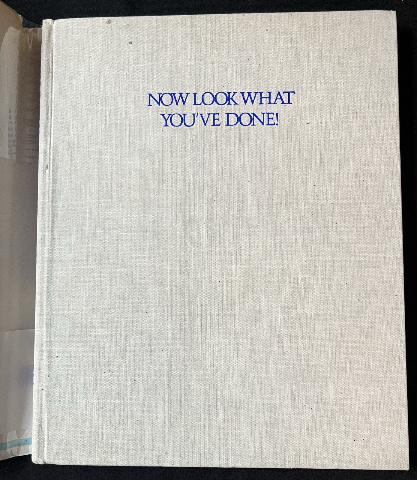 Now Look What You’ve Done! by Lee Lorenz—1st Ed/1977—HC/DJ/Mylar Cover—Cartoons