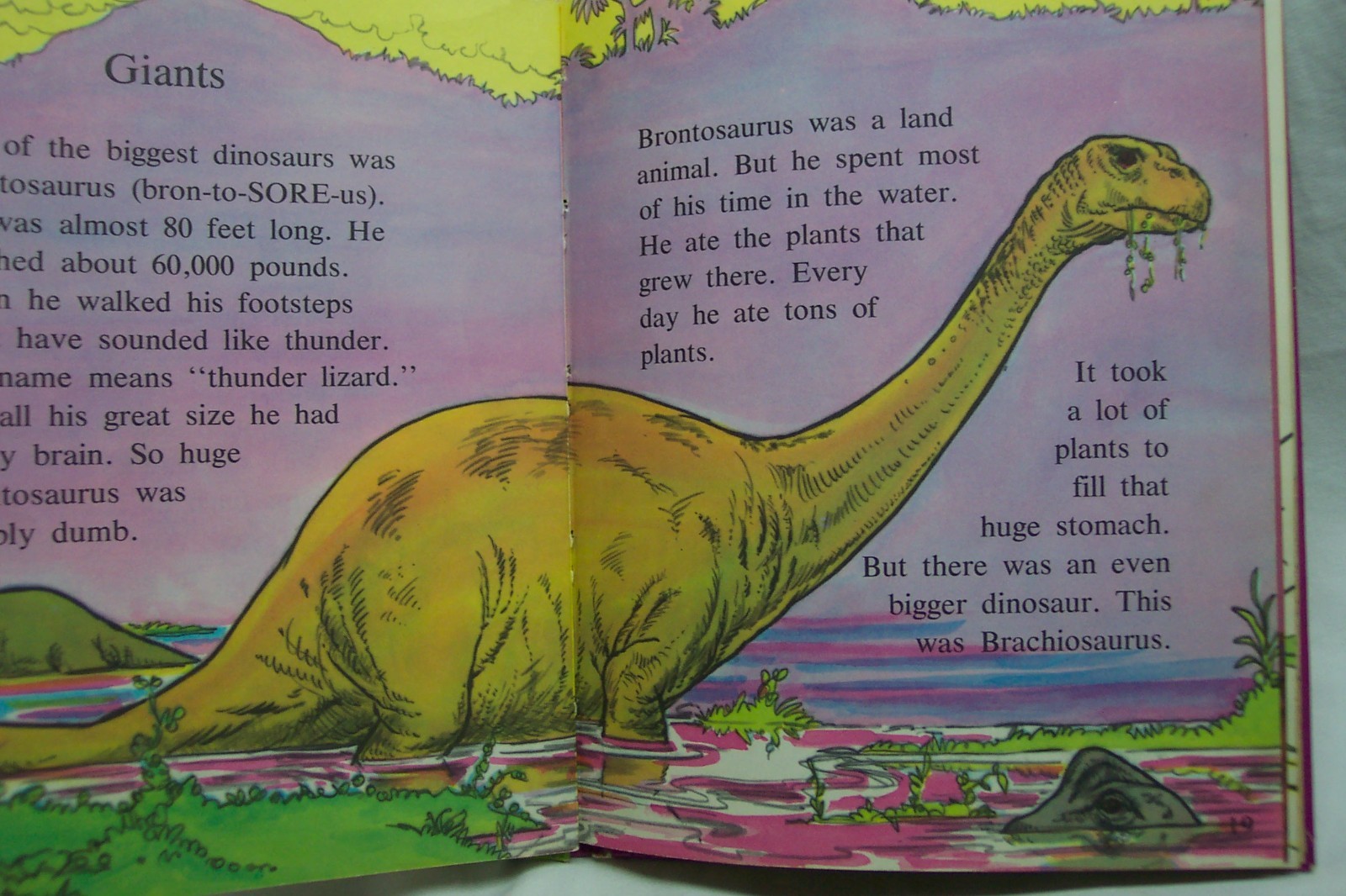 VINTAGE 1974 PREHISTORIC MONSTERS DID THE STRANGEST THINGS CHILDREN’S BOOK