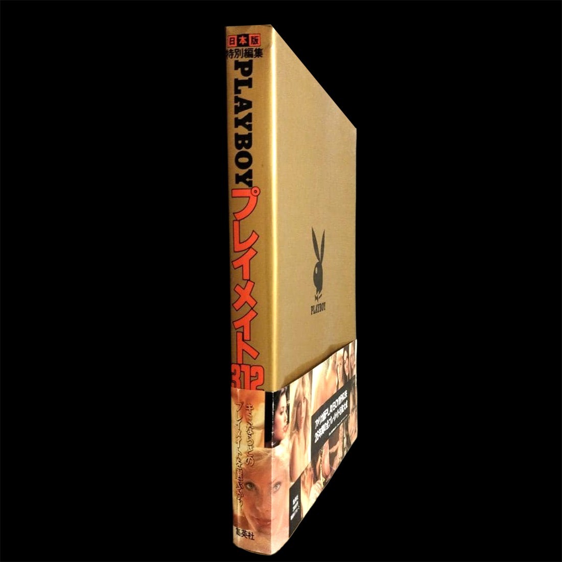 Playboy Playmate 312 Special Japanese Edition 1980 Shueisha Photobook