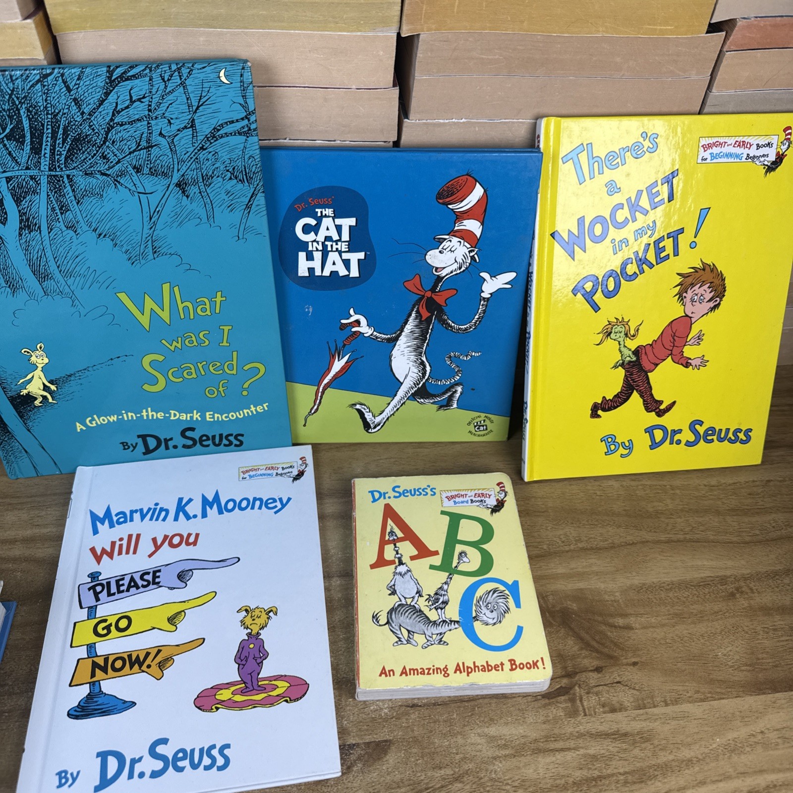Lot Of 8 Dr Suess Hardcover Wocket Hateful Of Suess Bundle