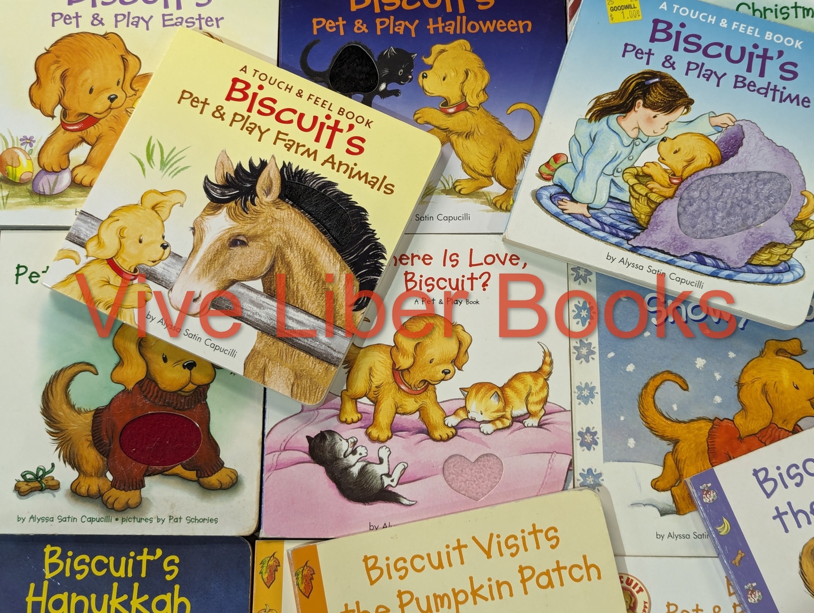 Lot of 5 Biscuit Board Books Lot Random – Children/Kids/Toddlers/Babies