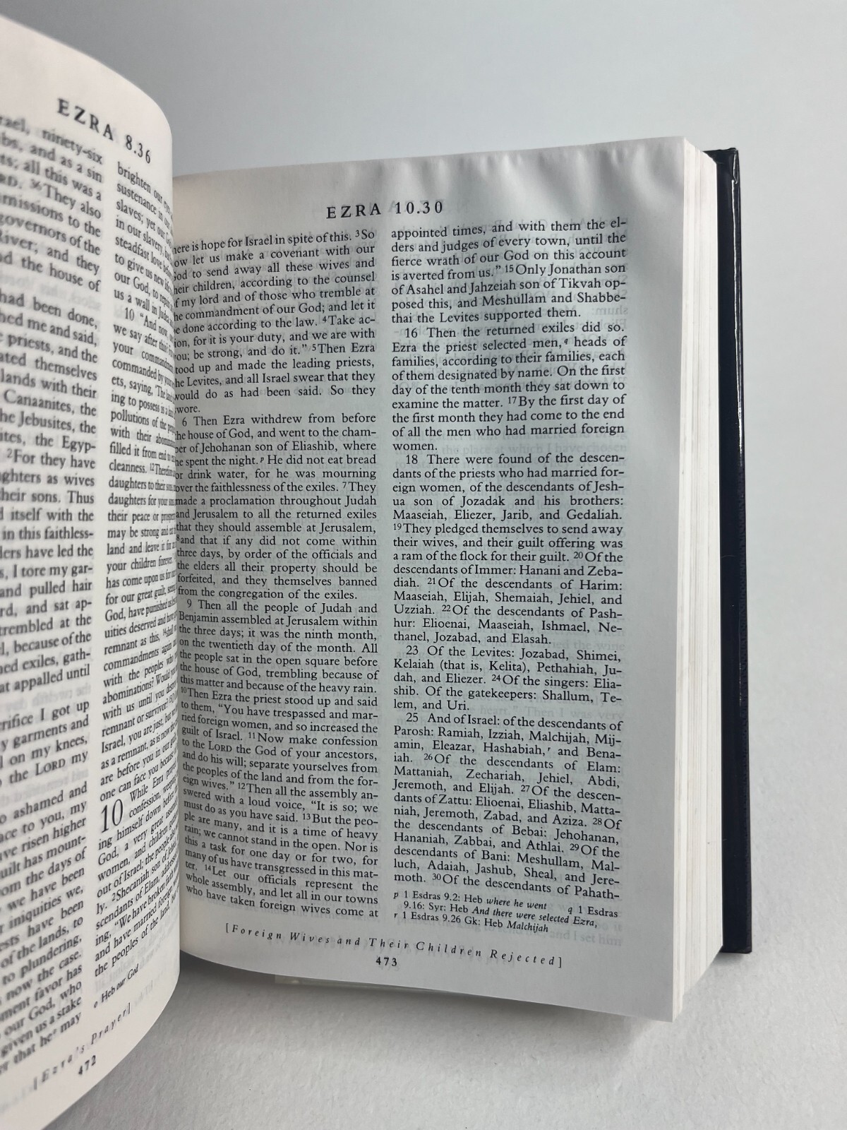 The Holy Bible New Revised Standard Version With Apocrypha