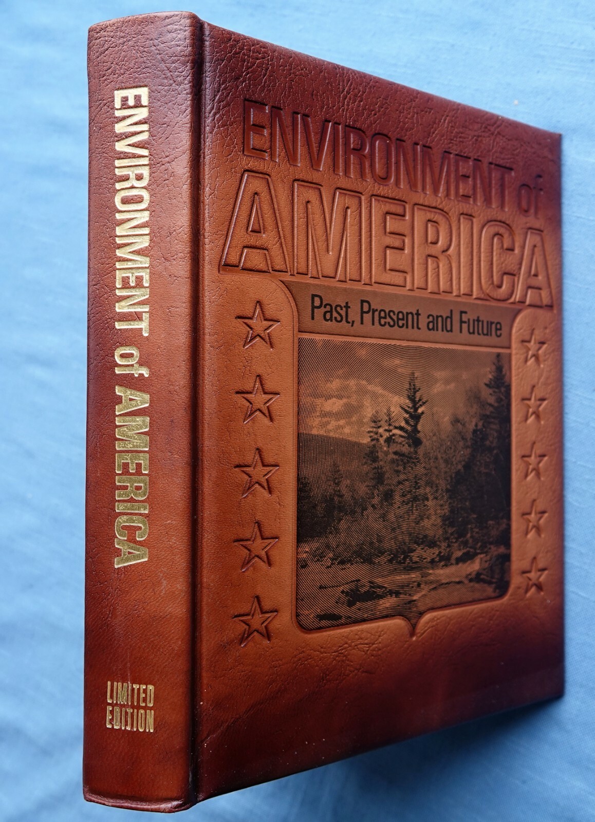 THE ENVIRONMENT OF AMERICA, PAST, PRESENT, FUTURE ED BY THOMAS JONES 1971
