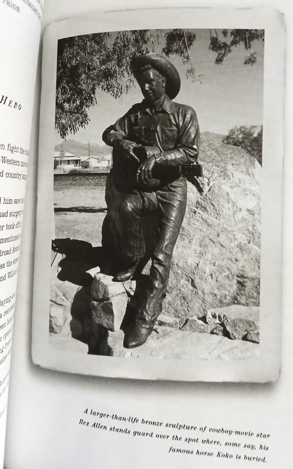 6 books about Arizona by the writers who know the state best at a bargain price