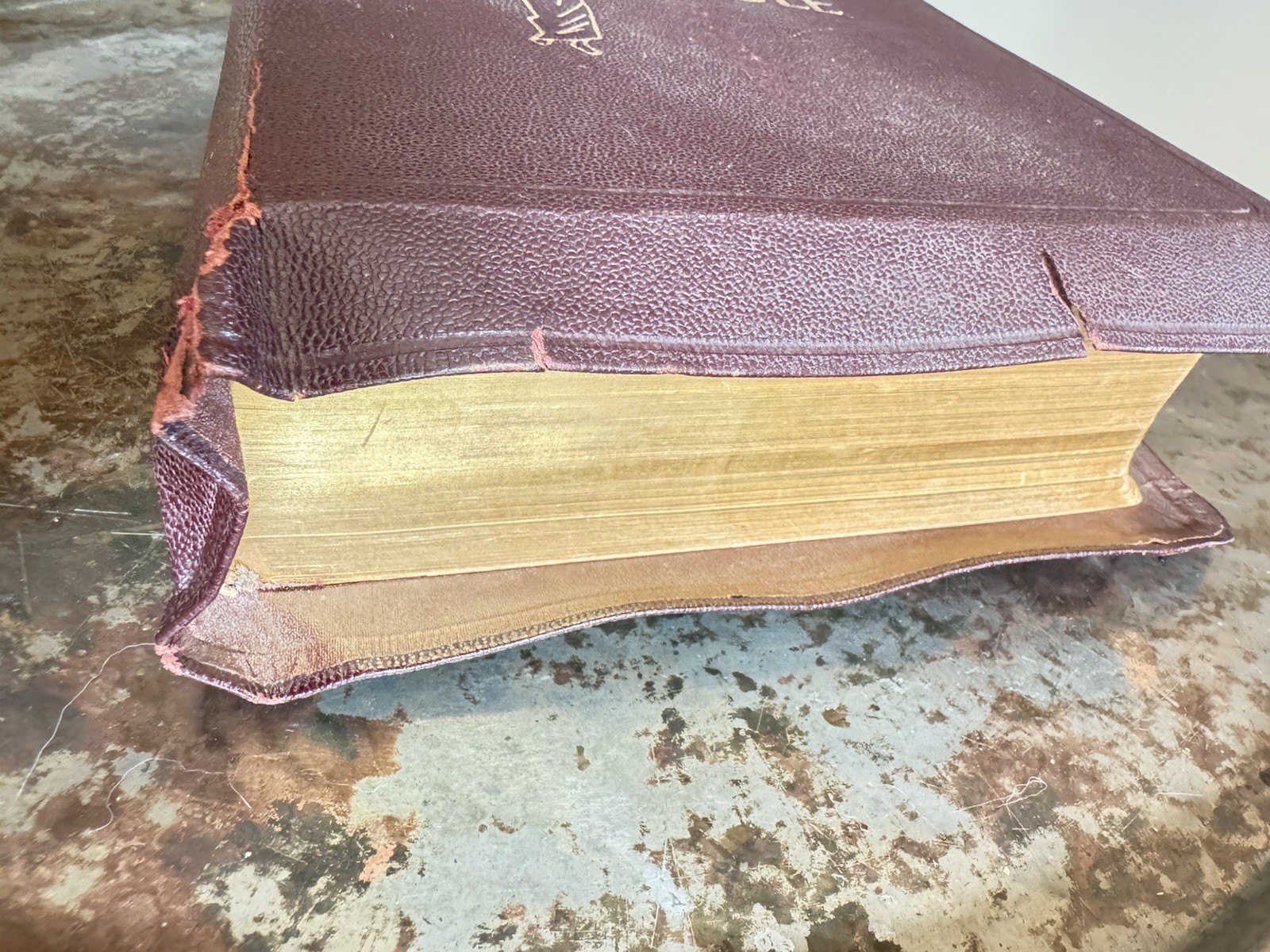 The Holy Bible The Catholic Press Holy Family Edition 1950