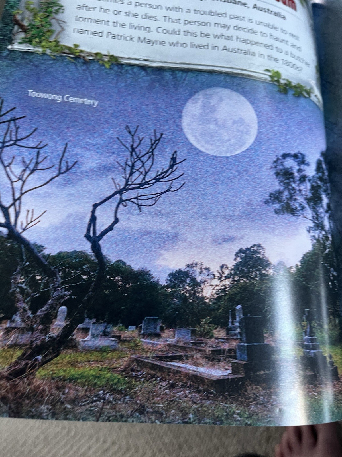 “Ghostly Graveyards” By Judy Allen HC 2016