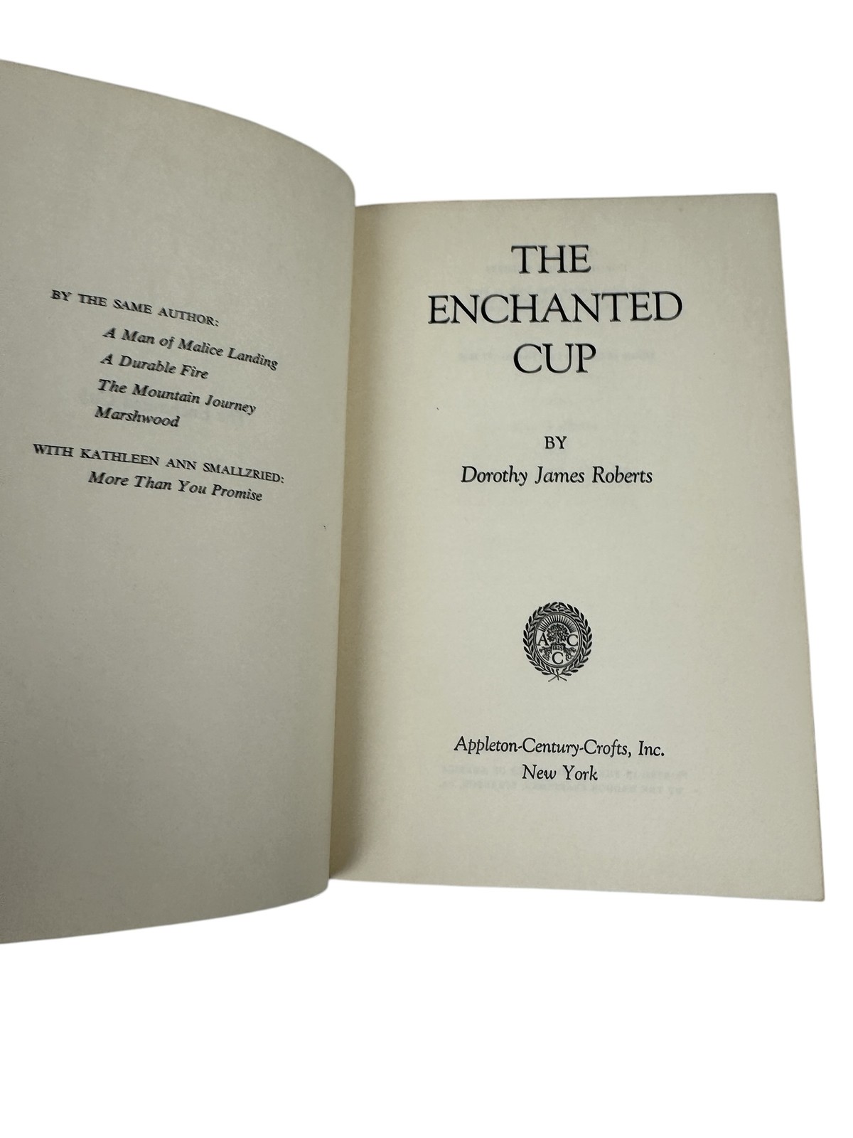 The Enchanted Cup Dorothy James Roberts 1953 Hardcover Dust Jacket Arthurian