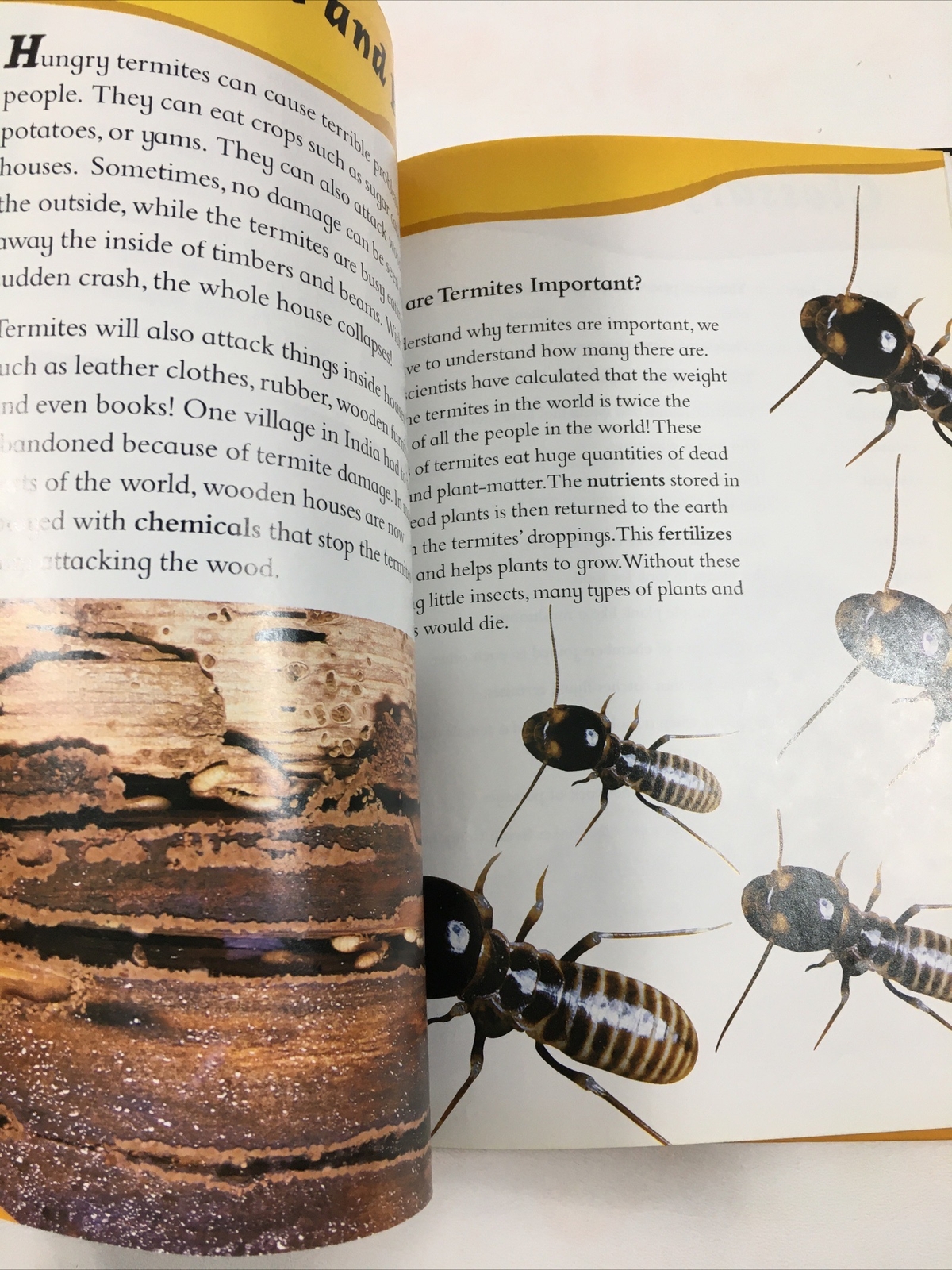 Through a Termite City – Carole Telford (Hardcover, 1998) Amazing Journeys Ser.