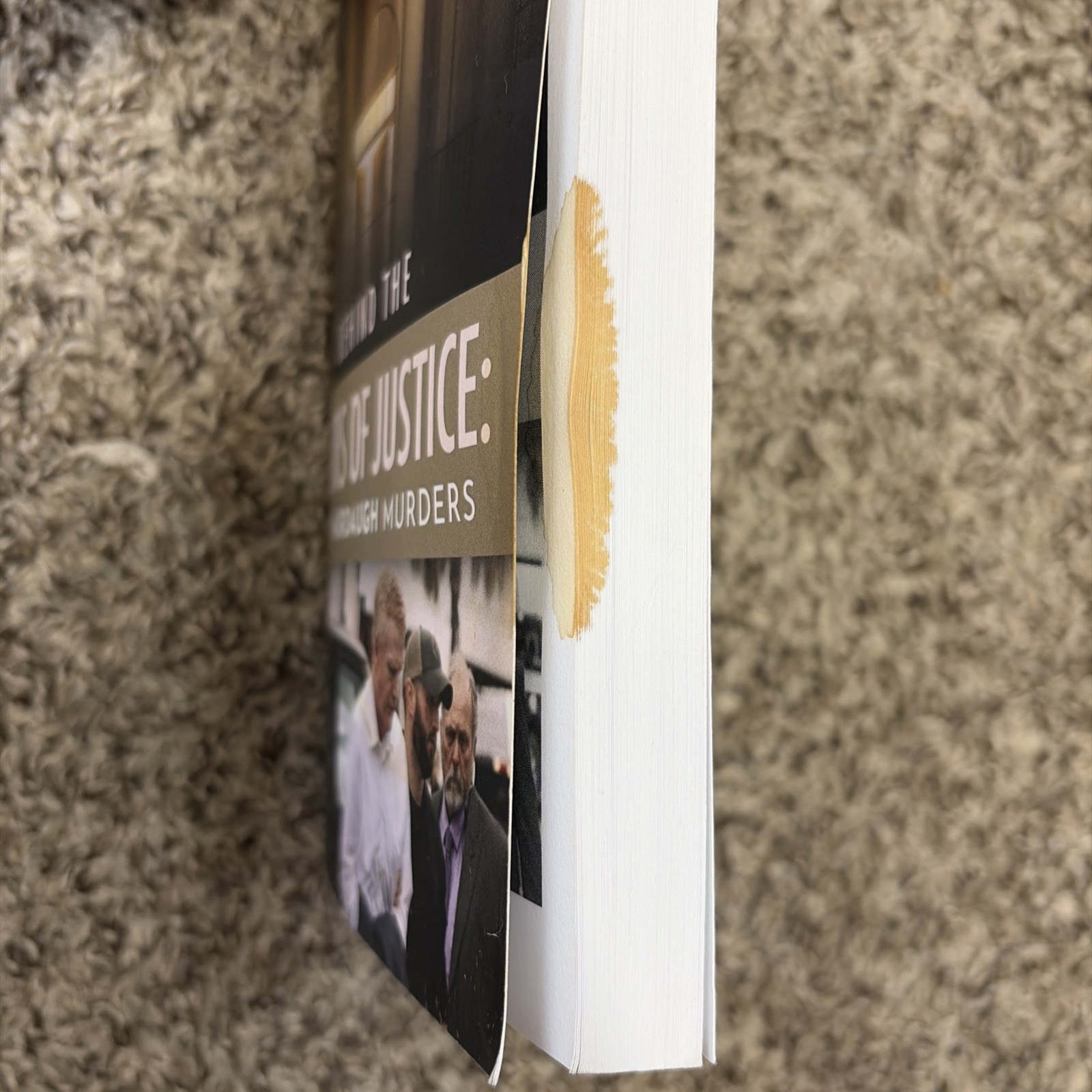 Behind the Doors of Justice: The Murdaugh Murders book by Rebecca Becky Hill