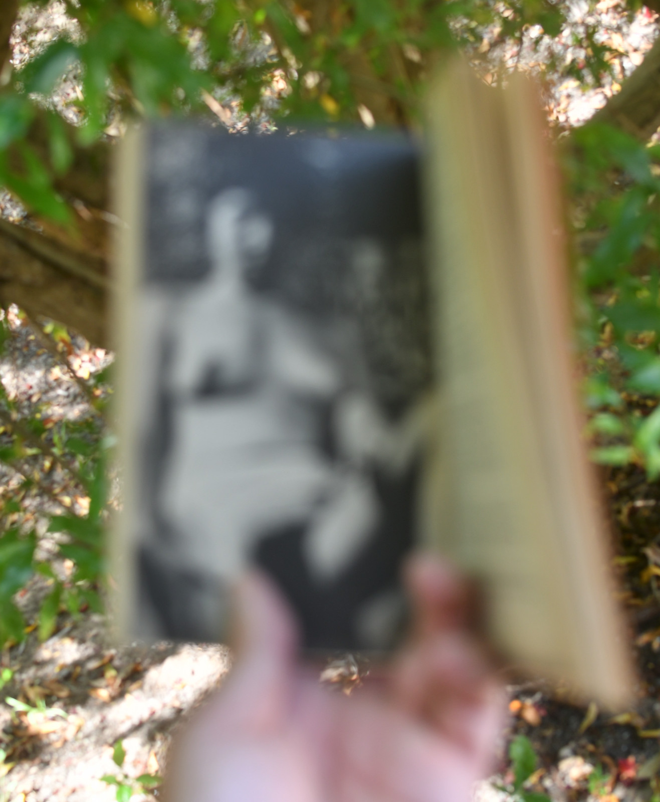 Lesbian Spy Paperback: 1969 First Printing Publisher: Collectors Publica