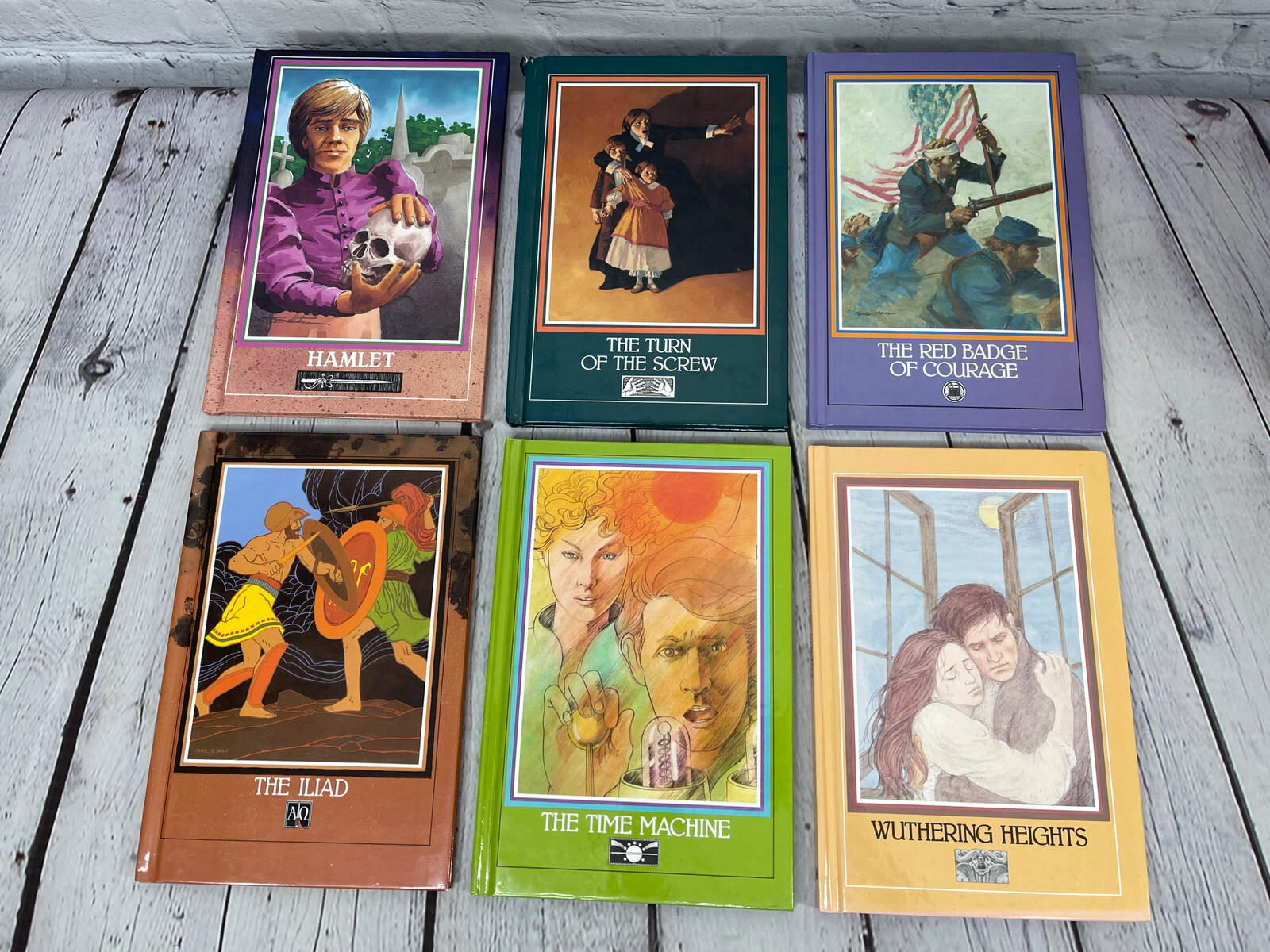 Raintree Steck-Vaughn Children’s Literature Homeschool Lot of 14 Story Books VGC