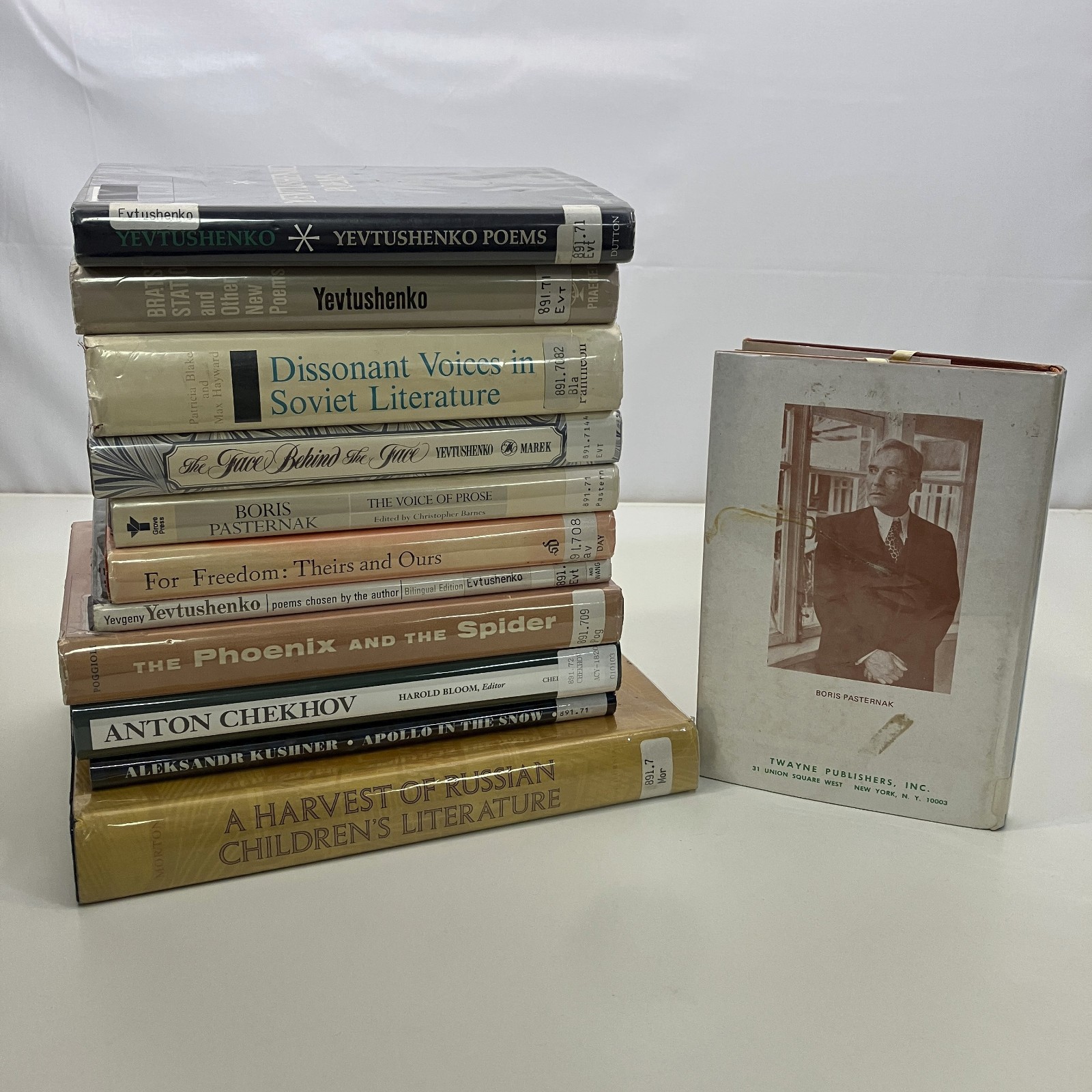 12 Vintage Ex-Library Misc Books about Russian Literature and Poetry HCDJ Lot