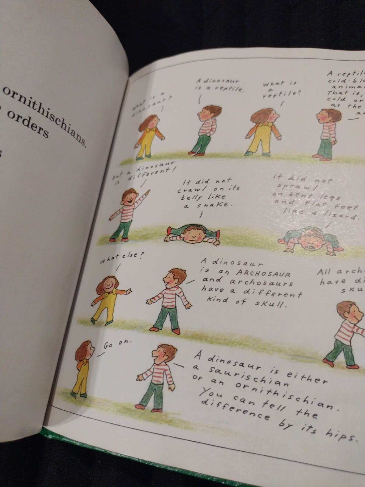 Let’s-Read-and-Find-Out-Science Ser.: Dinosaurs Are Different by Aliki (1985,…