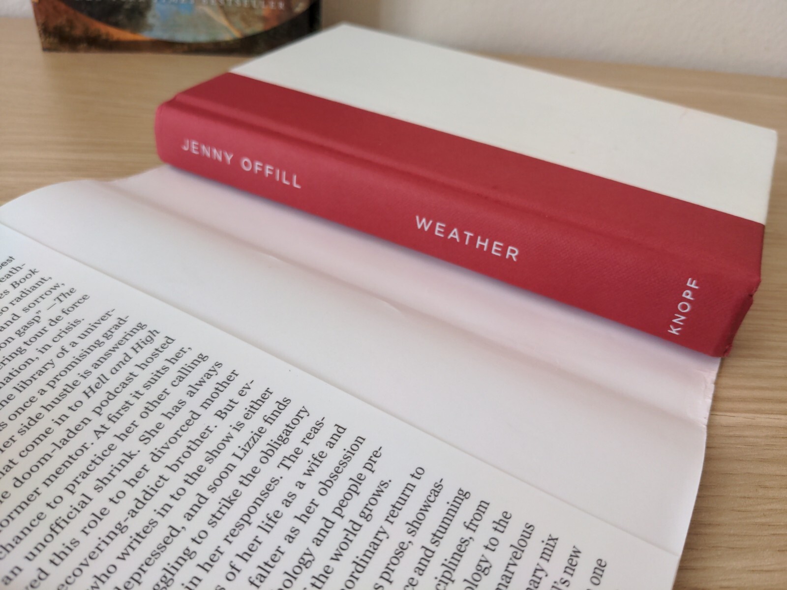 Eco Fiction Lot – Overstory Richard Powers + Weather Jenny Offill + Ecotopia