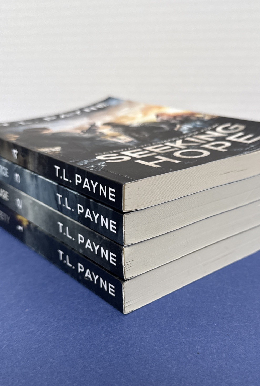Lot of 4 ~ Trade PB Books ~ T. L. Payne ~ Complete GATEWAY TO CHAOS Series