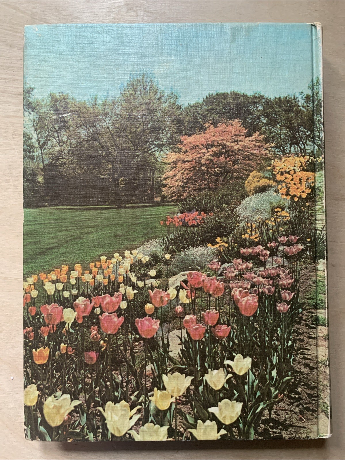 1967 Vintage Illustrated Encyclopedia Of Gardening Edited By:T .H. Everett Vol 1