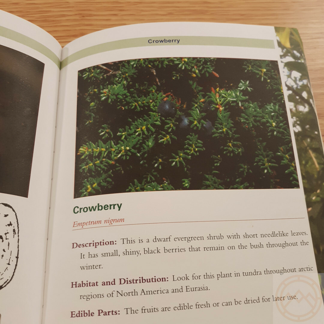 Complete Guide to Edible Plants Book Army Dept Medicine Poison Color Photos
