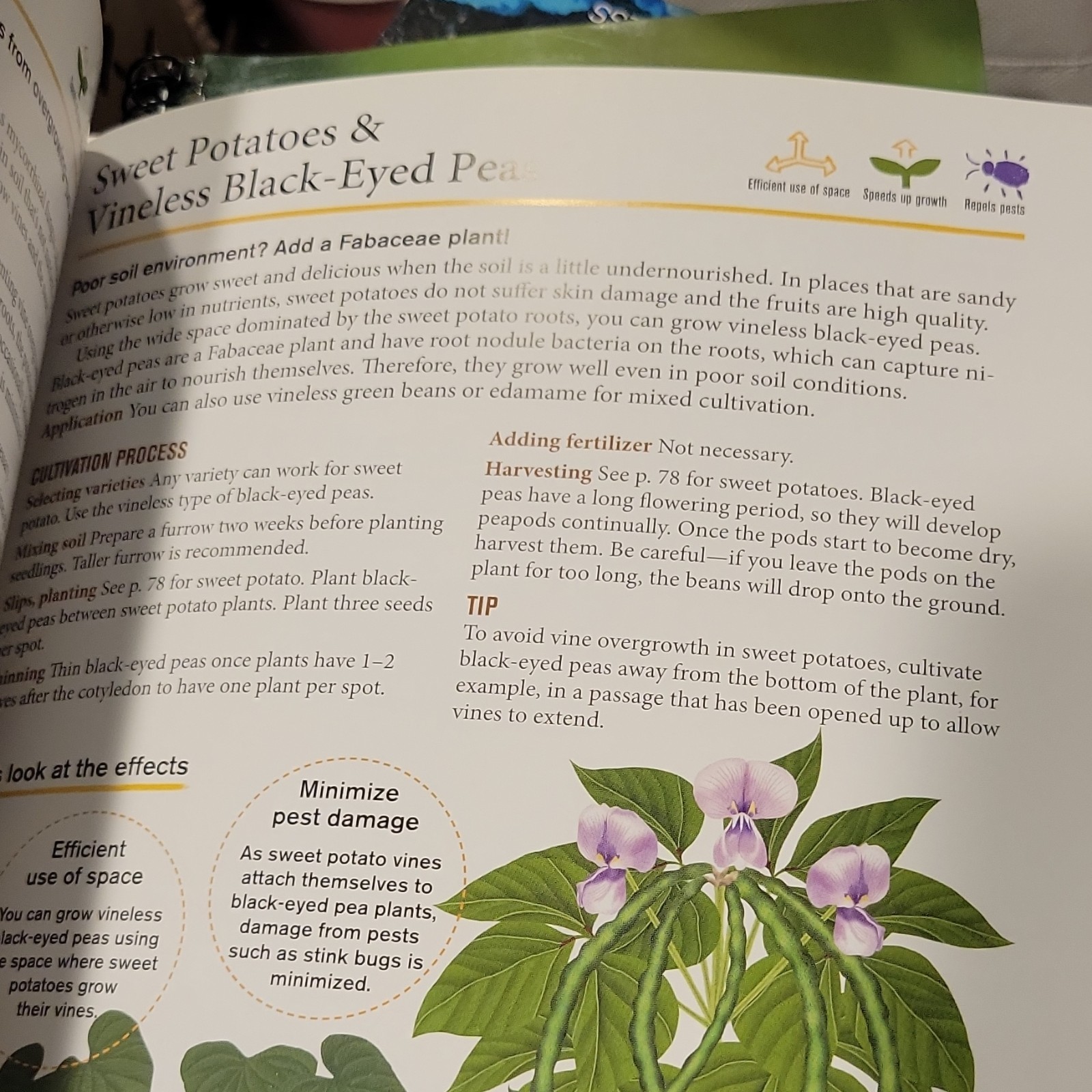 Tuttle Publishing Japanese Style Companion Planting Toshio Kijima Illustrated P…