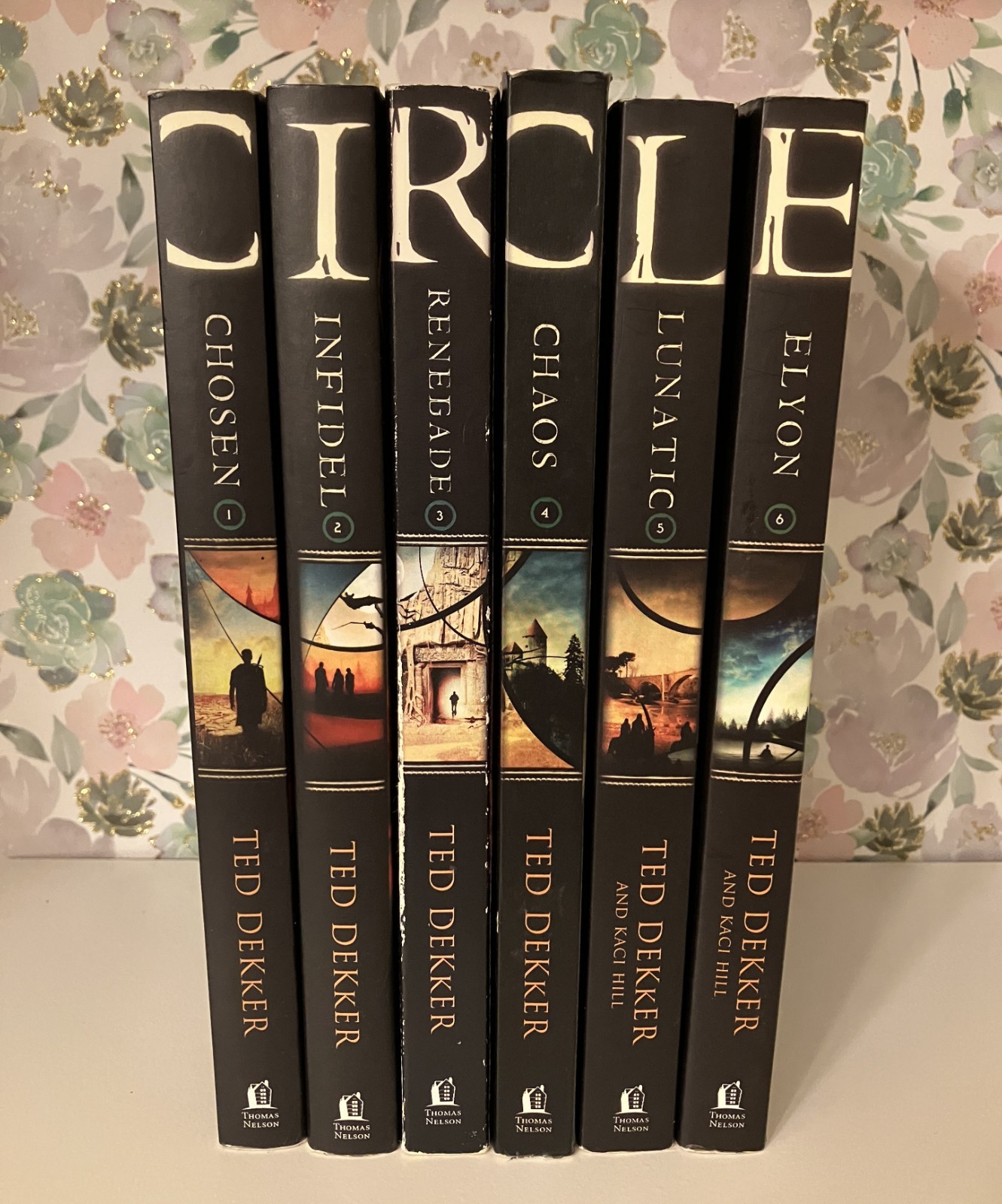 CIRCLE The Lost Books Series Complete Set by Ted Dekker, Books 1-6 Paperback Lot