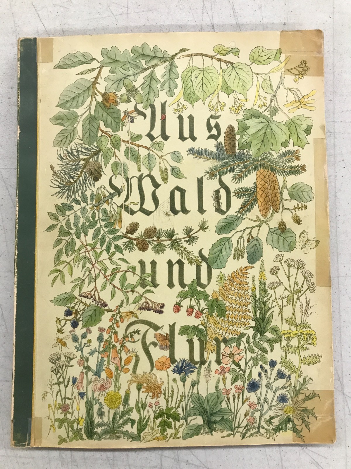 Aus Wald Und Flur – Two German Books 1937/1938 Plants and Animals, Set of 2 E-77