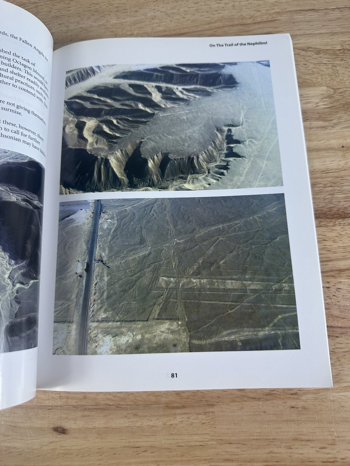 On The Trail of The Nephilim L.A. Marzulli 2013 1st Printing Nonfiction Spiral